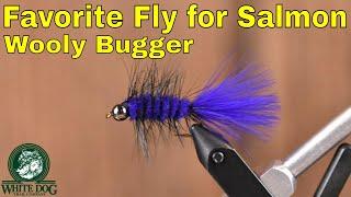 Salmon River Wooly Bugger - Favorite Fly for Salmon - Fly Tying