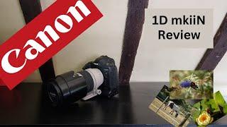 Retro Review - Canon EOS 1D MkiiN - How is the Photo Quality?