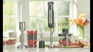 Princess House Vida Sana Immersion Blender