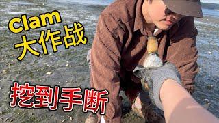 加拿大赶海——Nanaimo海滩Clam大作战！满地clam一摸一大把，往深了挖还有soft shell clam，老婆挖到手抽筋