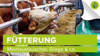 Was frisst das Rind? – Füttern, Fressen, Verwerten