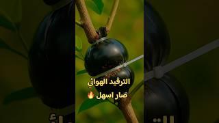 كيف انتج الاشجار في المنزل ؟؟ الترقيد الهوائي صار اسهل  #زراعة #garden #farming #shorts #اكسبلور