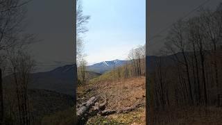 Appalachian Trail Bloopers #hiking #2023 #backpacking #fly #adventure #vermont #shorts #shortsvideo