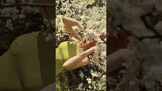 включи звук, послание от высшего Я для тебя