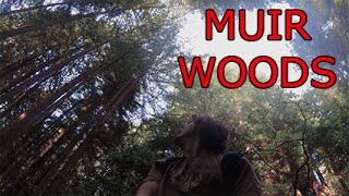 Muir Woods, San Francisco - Travel VLOG