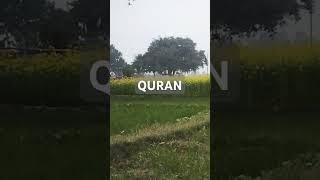 Surah Al Quran Islam video