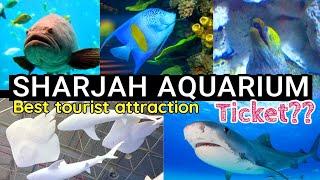 Sharjah Aquarium Inside View | Sharjah Aquarium Ticket | Best Tourist Attraction in Sharjah #sharjah