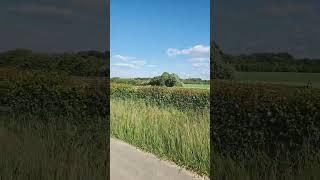 ИСТОРИЯ ЧЕЧЕНСКИХ ТЕРРИТОРИИ ВЫХОД НА МОРЕ И ОСТРОВ  ЧЕЧЕН АРГУМЕНТЫ И ФАКТЫ ДОКАЗЫВАЮЩИЕ ЭТО