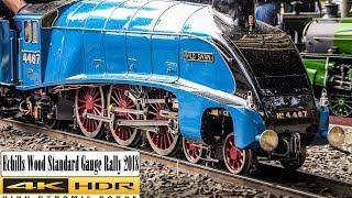 Echills Wood Standard Gauge Rally 2018 in 4K HDR - 7 1/4 inch Gauge Live Steam Railway