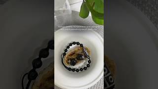 Украшения оберег ручной работы из натурального камня/ шунгит