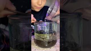 Easy DIY Kids Experiment: Liquid Layers & Density #stemforkids #densityexperiment #scienceexperiment