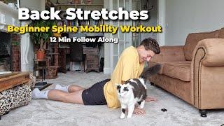 Beginner Back Stretches | Spine Mobility Workout | 12 Minute Follow Along | No Equipment Needed