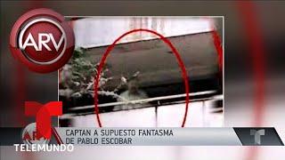 Aseguran que vieron al fantasma de Pablo Escobar | Al Rojo Vivo | Telemundo