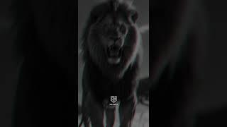 Rise & Hustle: Leave the Past, Chase the Vision #shorts