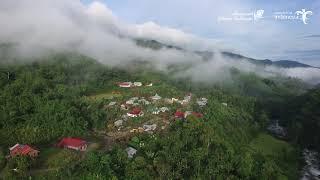 HUTAN ADAT DEPATI KARO JAYA TUO - KAB. MERANGIN