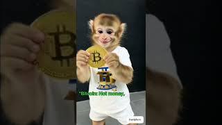 Little monkey and Bitcoin. #LittleMonkey #BitcoinPower #CryptoSmile #MonkeyWithBitcoin