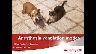 Modos de Ventilação de Anestesia