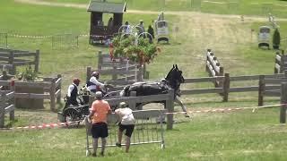 László FARKAS (HUN) - CAI***, H2, Szilvásvárad (Hungary), marathon driving, obst. Nr. 1, 15.07.2023