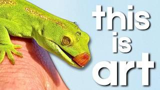 A Short Film about Rare Green Geckos...