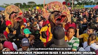 Barongan Ngeprok Penonton ResekJaranan MAYANGKORO ORIGINAL Live Wonosari Bujel Mojoroto Kediri