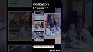 #화성용주사#좌선용맹정진#명상수행 ㅣ 명상 시작! ‍️화성 용주사 좌선용맹정진에서 나를 찾아 떠나는 시간!