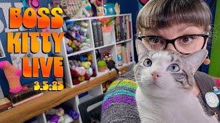 All Up In My Yarn Business. | Boss Kitty Live | 3.5.25