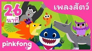 หางหายไป และเพลงอื่นๆ | เพลงสัตว์ | +รวมเพลงฮิต l พิ้งฟอง(Pinkfong) เพลงและนิทาน