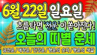 [오늘의 운세] 2025년 6월 22일 (일) — 오늘 대운 흐르는 띠는? 돈복·애정운·행운색까지 총정리!
