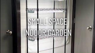 Small Space Indoor Garden