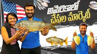 Fish Markets in USA | Indian food section and spices | Fresh produce | Ravi Telugu Traveller ￼