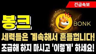 [봉크 코인 전망] 세력들은 계속해서 흔들껍니다! 조급해 하지 마시고 '이렇게' 하세요!