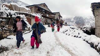 this is himalayan nepali village life || Best Life In The Nepali Mountain Village During The Snow |