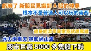 股市巨震，5000多隻股同時下跌。大量股民虧麻了，新股民見識到A股的殘暴。誰是經濟學專家我就想罵誰。