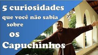 Curiosidades que você não sabia sobre os Capuchinhos