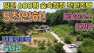 당진시 정미면 600평 청정지역 숲속의 집 철근콘크리트주택으로 주택 앞 넓은 400평대 텃밭을 가꿀 수 있는 집 태양광과 주차장 공기맑은 지역 당진전원주택 서산전원주택 시골집매매