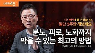 건강한 호르몬을 만드는 6가지 원칙 | 안철우 연세대학교 내분비내과 교수 w/ 구범준 PD | 건강 저속노화 | 세바시 나머지 45 ep.70