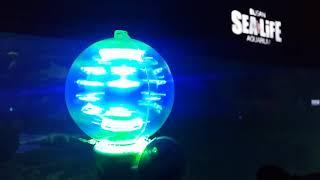 Интересная игрушка из Южной Кореи. Как она называется?