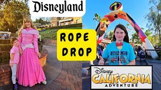 Rope Drop Disneyland & DCA Disneyland Vlog - First Time at Disneyland as a Magic Key Holder (Part 3)