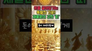 돈을 끌어당기는 특별한 기운! 재물운이 강한 띠 #오늘의운세 #재물운 #운세 #띠별운세 #대운 #사주팔자