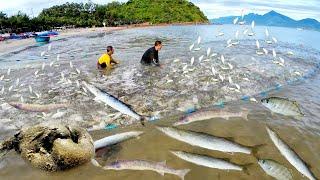 Nghề Kéo lưới Rùng Chỉ Có Một Không Hai Của Ngư Dân Ven Biển Tiên Sa Tại TP Đà Nẵng