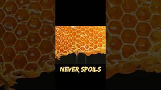 Honey is Literally Eternal - Never Spoils! | Weird But True - 7  |  Learnio | #shorts #trending