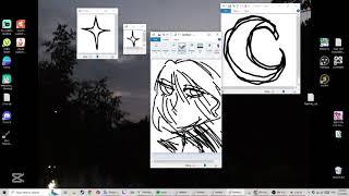 Paint style.