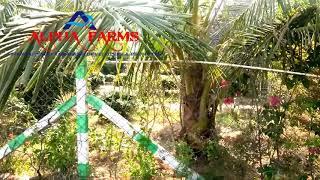 organic farmland for sale in kanchipuram