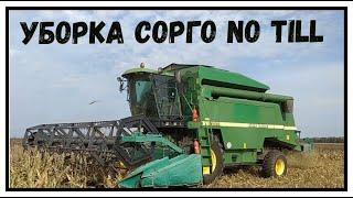 уборка сорго No till (Все нюансы при выращивании)