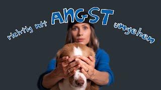 Hund hat Angst // Tipps für den richtigen Umgang mit Angst und Unsicherheit // hundplusherz