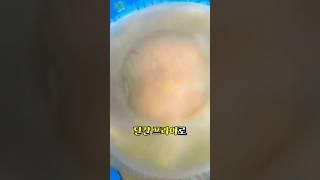 계란프라이로 보여도 절대로 먹으면 안됩니다 #해파리 #젤피쉬 #eggfriedjellfish