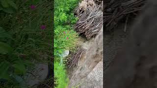 My Home Video 15 August special video By Sourabh Kushwah No 1