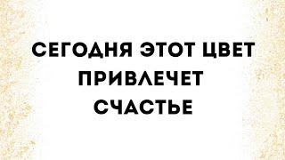 Сегодня этот цвет привлечёт большое счастье.