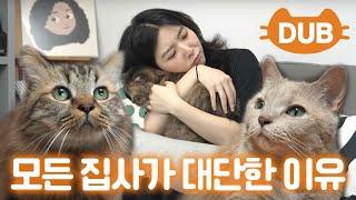 [EN] 저는 고양이를 위해 "이걸" 매일할 수 있어요ㅣ미야옹철의 가정방문 스텔라장 편