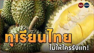 ประธานหอการค้าจันทบุรีชวนค้าทุเรียนอย่างยั่งยืน ไม่ให้ใครมารังแก!